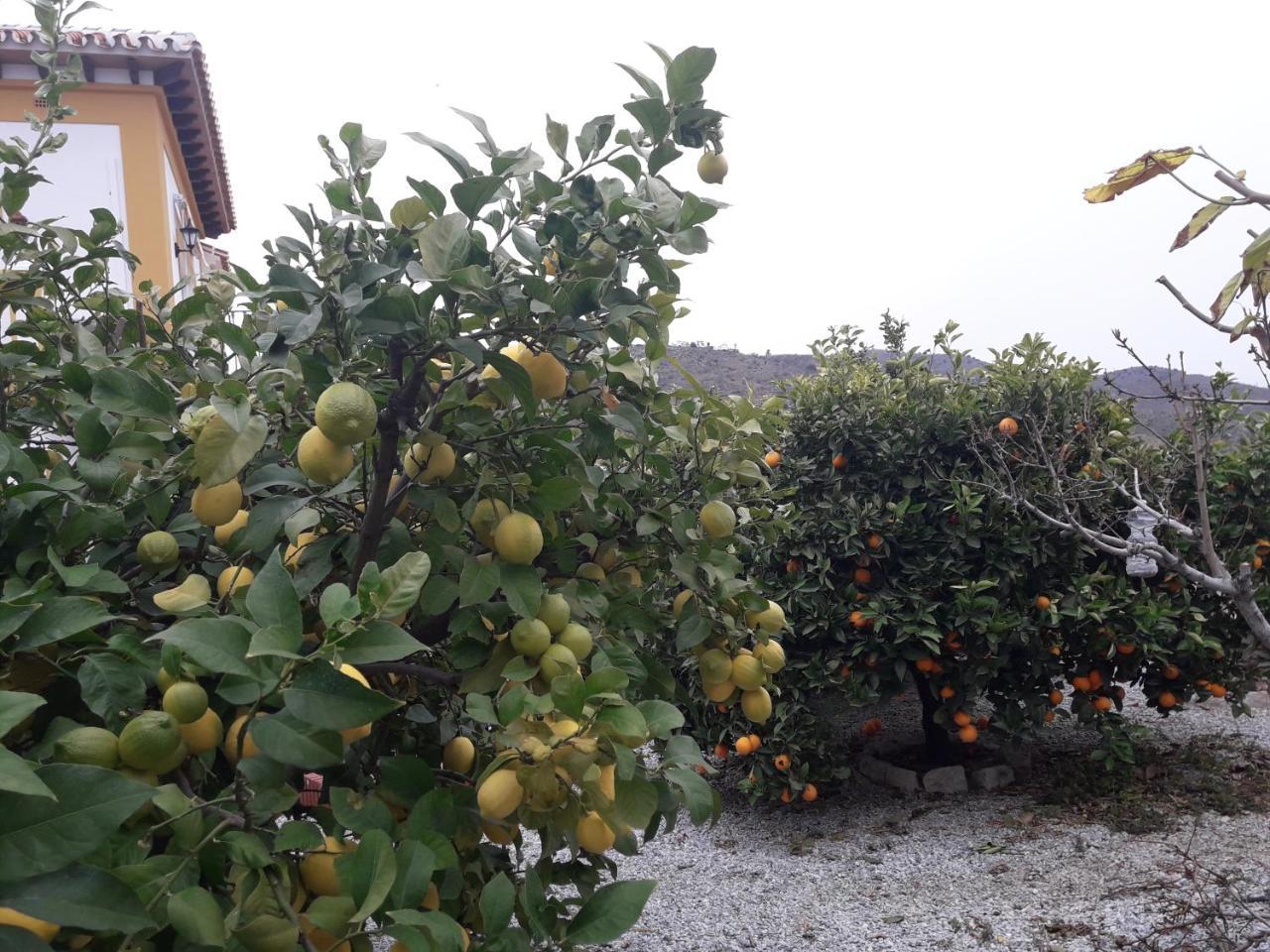 טורוקס Alojamiento Colina Del Sol מראה חיצוני תמונה